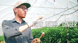 Ginger Like You've Never Seen... An Unforgettable Farm Tour!