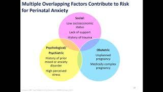 Updates in Perinatal Anxiety and Sleep Management and Postpartum Depression Treatment