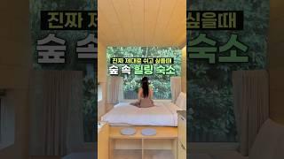 힐링 제대로 하는 제주 숙소