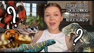 Top 5 BEGINNER Reptiles that you've NEVER heard of!?