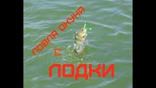 Ловля окуня с лодки. Рыбалка на "большой" воде.