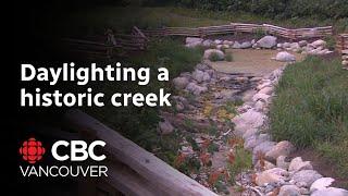 Historic Vancouver creek restored to help revive natural processes