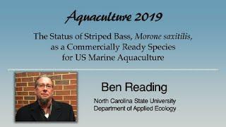 Ben Reading: Striped Bass, Morone saxatilis, Aquaculture