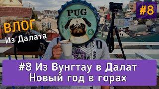 Вьетнам, Далат | Едем из Вунгтау отмечать Новый год в горах