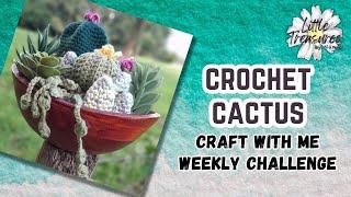 CROCHET CACTI can't be killed even by me