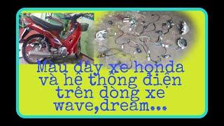 Màu dây xe hon da và sơ đồ hệ thống điện xe wave dream...