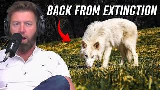 Dire Wolf Brought Back 10,000 Years After Extinction