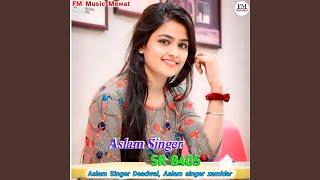 Aslam Singer SR 8405