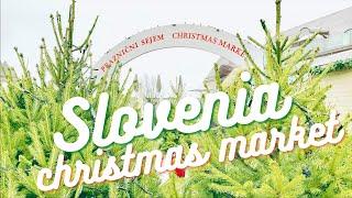 a day trip to SLOVENIA  | Christmas Market & Ljubljana Castle | Europe Markets | SILENT VLOG VLOGMAS