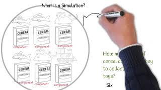 What is a Simulation?