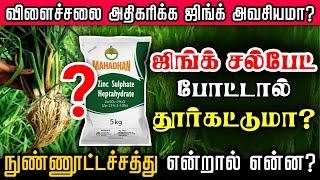 3 ஆம் நாளில் ஜிங்க் சல்பேட் போடுவது ஏன் ?| நுண்ணூட்டம் போட்டால் தான் பயிர் வளருமா? | Zinc Sulfate