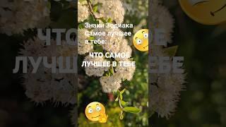 Что самое лучшее в них / Знаки Зодиака Эзотерика Гороскоп Астрология