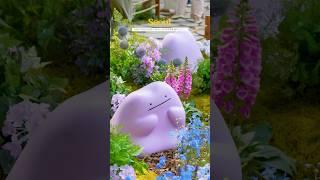 서울국제정원박람회가 열리는 보라매공원에 메타몽 출현! #서울국제정원박람회 #메타몽가든 #메타몽
