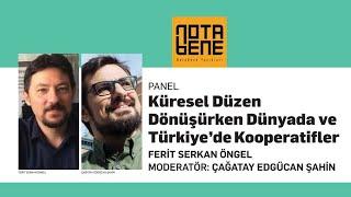 Küresel Düzen Dönüşürken Dünyada ve Türkiye'de Kooperatifler