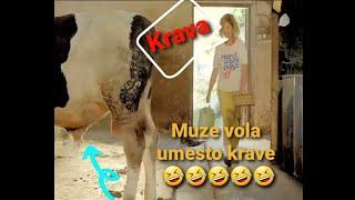 Život u štali u malenom selu na selo brale rasta # shorts # short # shortvideo # tik tok