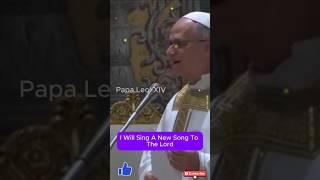 Primer discurso del Papa León XIV en la ceremonia #popeleoxiv #domingo #cortos