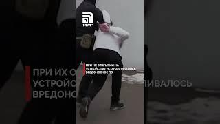 Обокрали сотни россиян: задержаны создатели вируса Mamont
