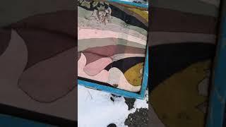 Апитерапия. Поддержка организма пчелиным ядом