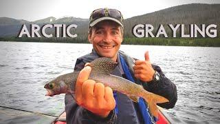 Arctic Grayling Fly Fishing, Joe Wright Reservoir, Colorado!  {Catch, Clean, Cook}