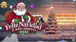 Feliz Navidad y Prospero Año Nuevo 2025 - Varios Artistas