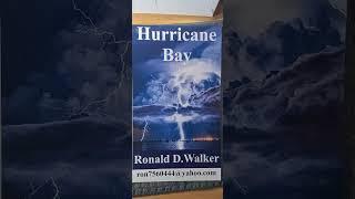 Hurricane Bay #fiction #mystery #audible #reading #eBook #audio #booktok #books #audiobook #literary