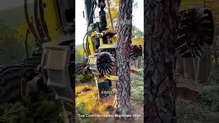 Modern Batch Tree Cutting Machines: The Ultimate Solution for High-Productivity Forestry