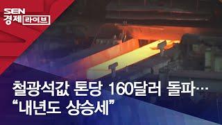 철광석값 톤당 160달러 돌파…“내년도 상승세”