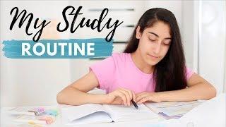 My Study Routine 2019 |  Study Tips + Tricks For A Productive Study Session!