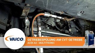 Getriebe spülen Audi Multitronic | VAICO EXPERT-KITS+ V10-3131-XXL für CVT Getriebe