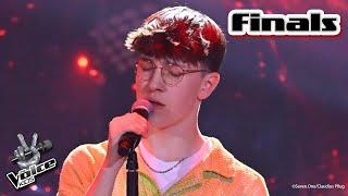 Simon & Garfunkel - "The Sound Of Silence" (Jakob) | Finals | The Voice Kids 2024