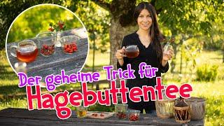 Hagebutten Tee selbstgemacht  Mit diesem geheimen Trick schmeckt er richtig lecker #hagebutten #tee