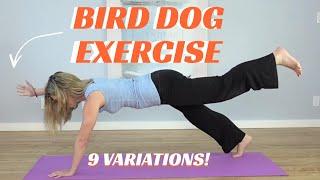 Bird Dog Exercise For Beginners: Instructions For 9 Variations [Workout Progresses To Advanced]