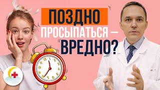 Совы и жаворонки. Вреден ли для здоровья режим совы?