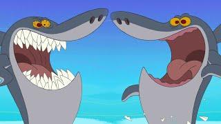 Zig und Sharko |  Sharko and Sharko | Volledige aflevering in HD