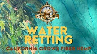 Hemp Water Retting