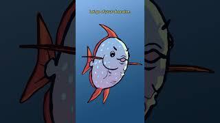 The Opah & The Oarfish ️ #animation #original #cartoon