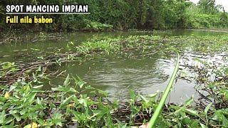 Full nila babon..!! spot mancing impian semua para pemancing liar