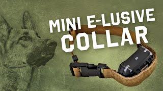 Mini E-Lusive™ Collar | Practical E-Collar Mount For Dogs