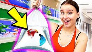 Ich zeige euch MEINE FISCHE !  Aquarium kaufen & Einrichten ! - Celina