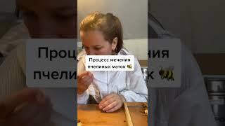 летающих над головой пчел видели? #пчеловодство #пчелопакеты