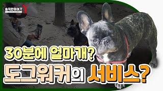 30분에 얼마개? 도그워커의 서비스?