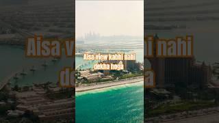 Palm Island drone view #budgettravel #travel #safa #nature #indiansong #dubai #dubailife #top