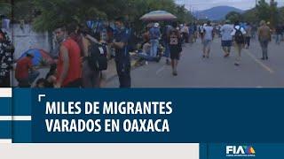 10 mil migrantes buscan uno de los 50 permisos diarios para poder circular por México