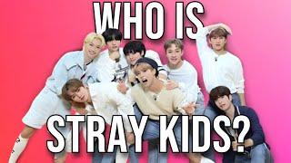 Stray Kids Member Introduction: Guide For New Stay