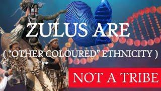 DNA RESULTS OF “ OTHER COLOURED” PART 2: ZULUS ARE NOT A TRIBE || THE ZULU NATION.