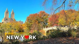 [4K] NYC Walk: Embrace the Autumn Vibes in Central Park & the Upper East Side, NYC  Oct. 2024.