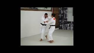 Uchi Mata to Osoto Gari By Yarden Gerbi