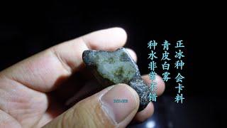 赌石之家（帕敢翡翠矿区纪实）青皮白雾会卡料，正冰种