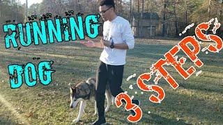 How to train your dog to jog with you ! (3 steps)