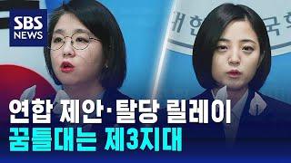 '비례연합' 제안 · 탈당 릴레이…꿈틀대는 제3지대 / SBS